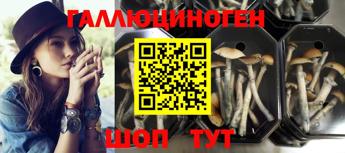 Галлюциногенные грибы MAGIC MUSHROOMS Асбест