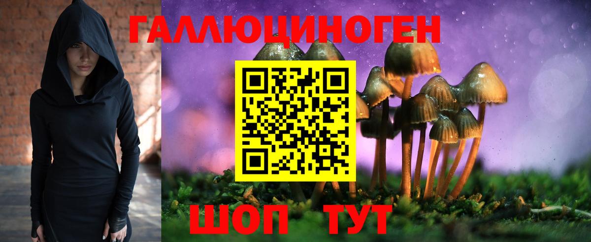 как найти   Псилоцибиновые грибы ЛСД  Асбест  Вход с VPN  Псилоцибиновые грибы Psilocybe 